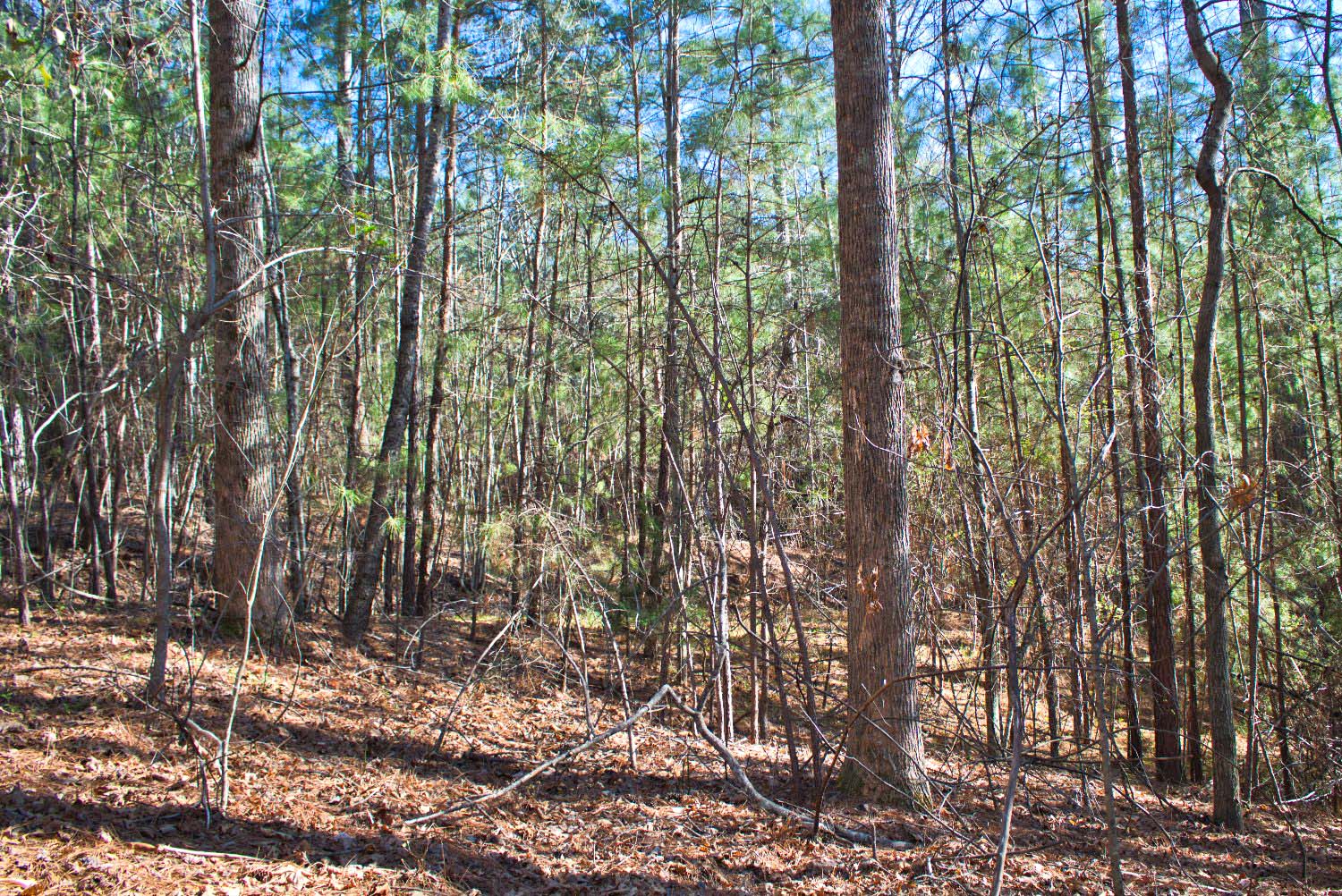 MLS #4352251 Wooded parcel in Hearthstone Ridge