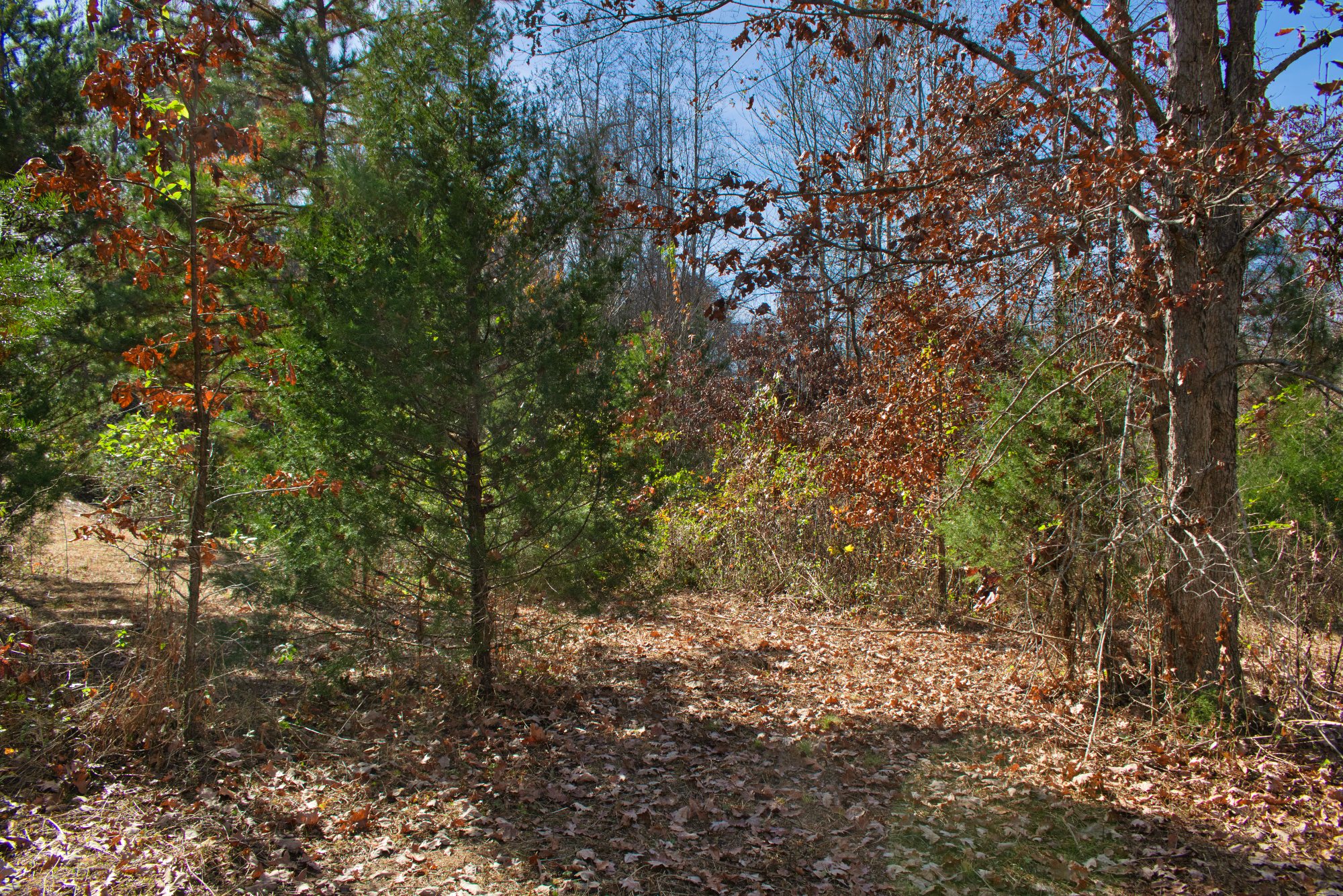 3.00 acres with stream in gated Hearthstone Ridge