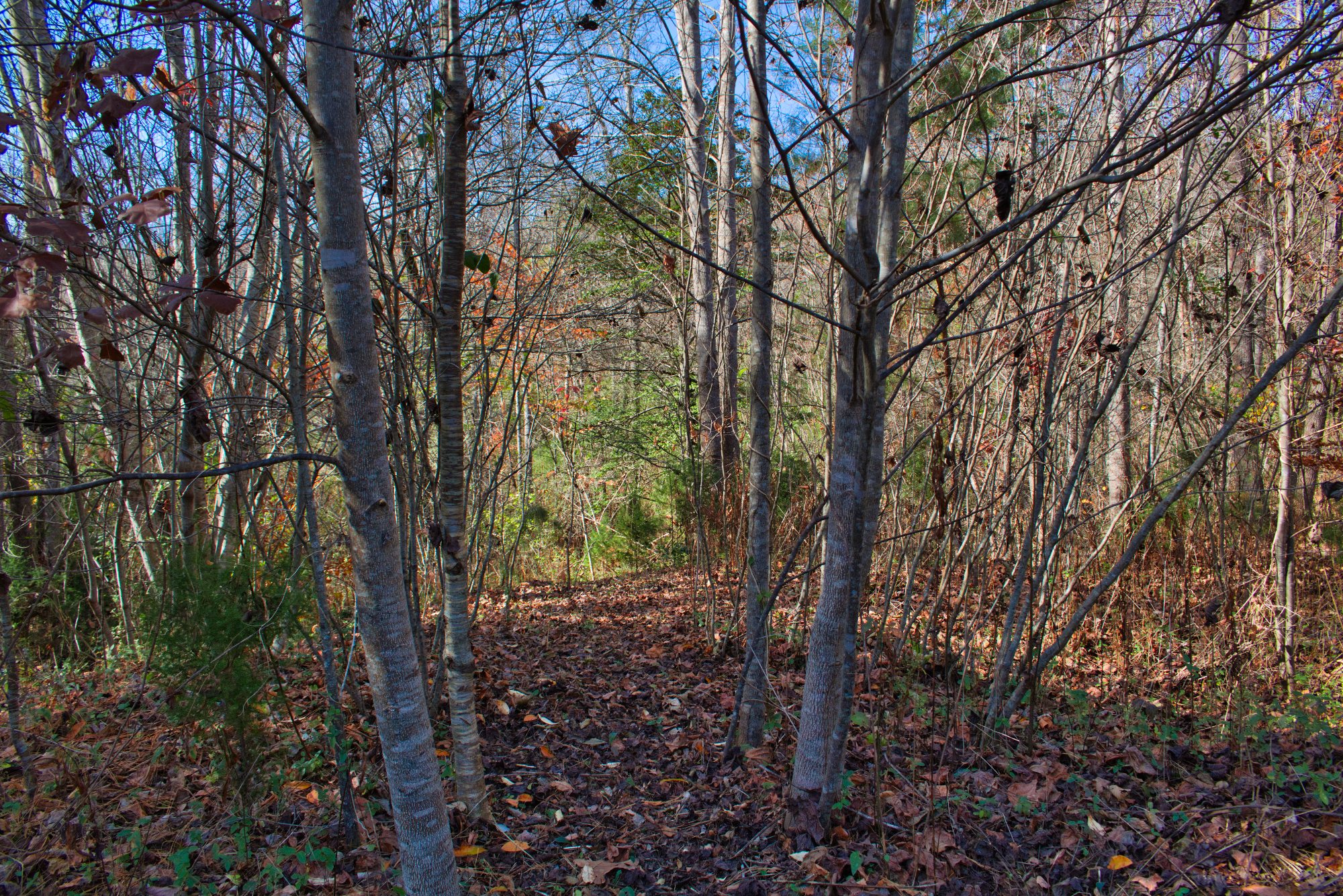 3.00 acres with stream in gated Hearthstone Ridge