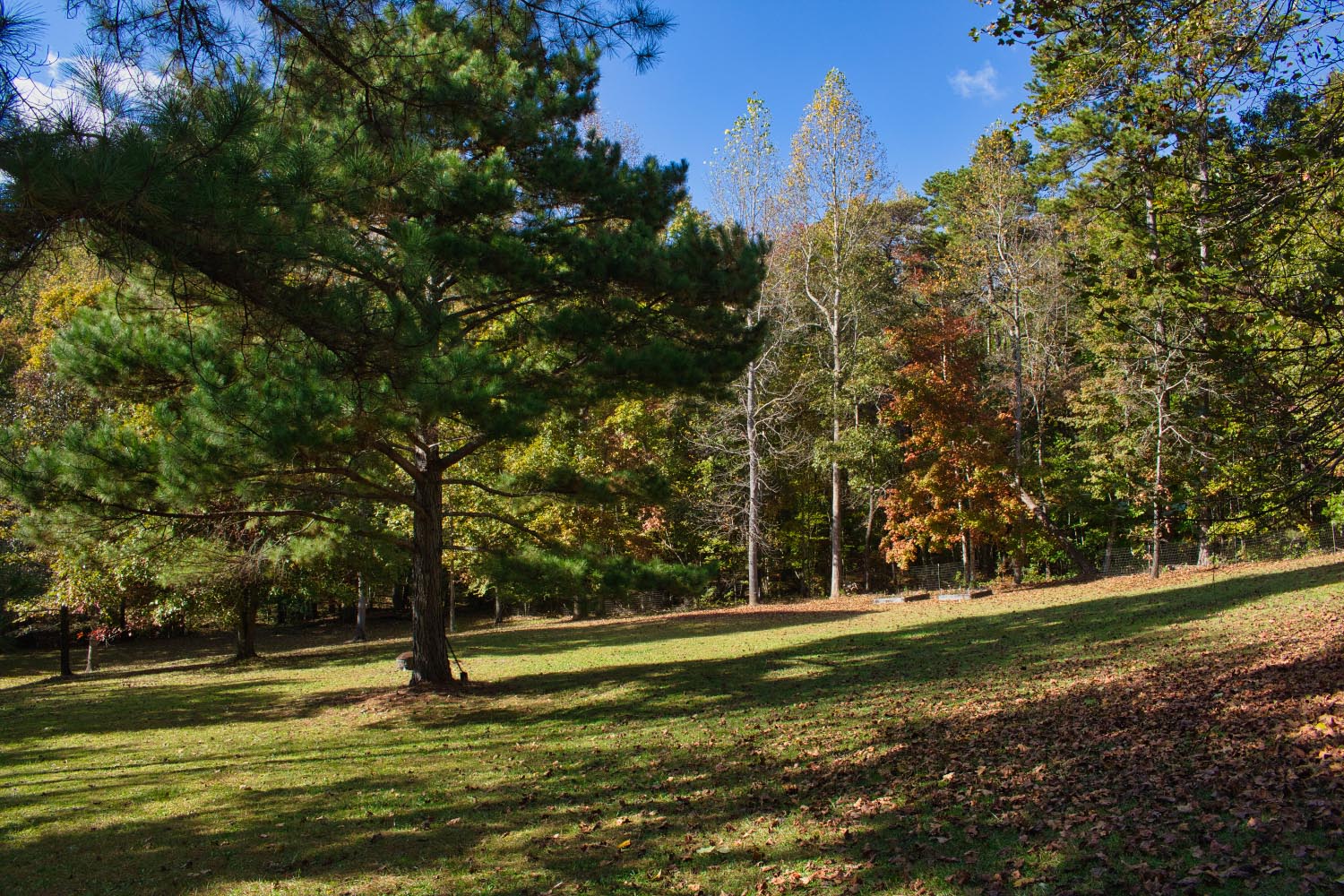 MLS # 4435771 | 1.37 acres | 3/2 fenced home w/large garage in gated Hearthstone Ridge