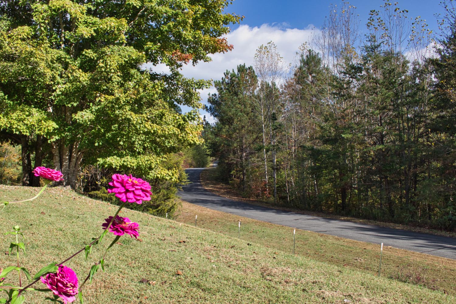 MLS # 4435771 | 1.37 acres | 3/2 fenced home w/large garage in gated Hearthstone Ridge