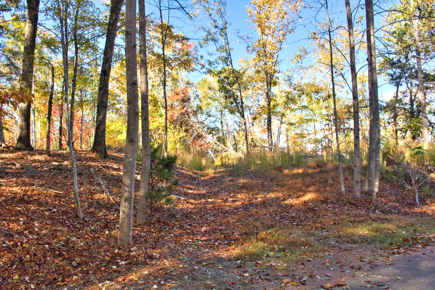 Lot 15 on Wilderness Ridge
