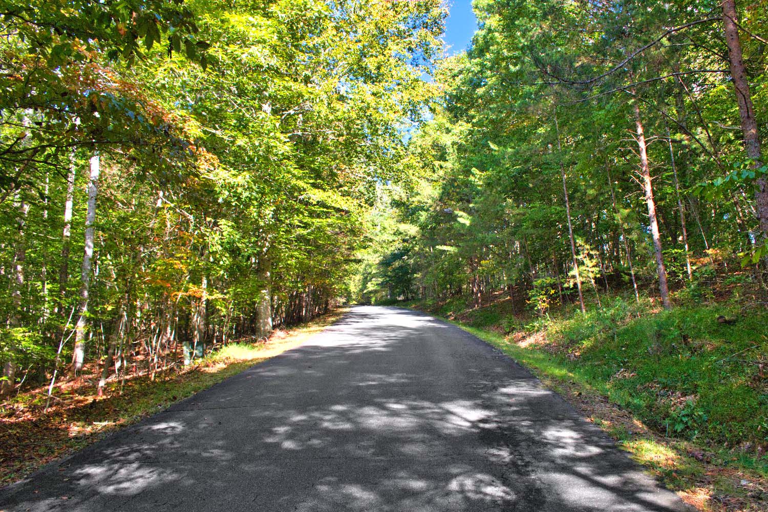 Tranquility at Lake Lure
