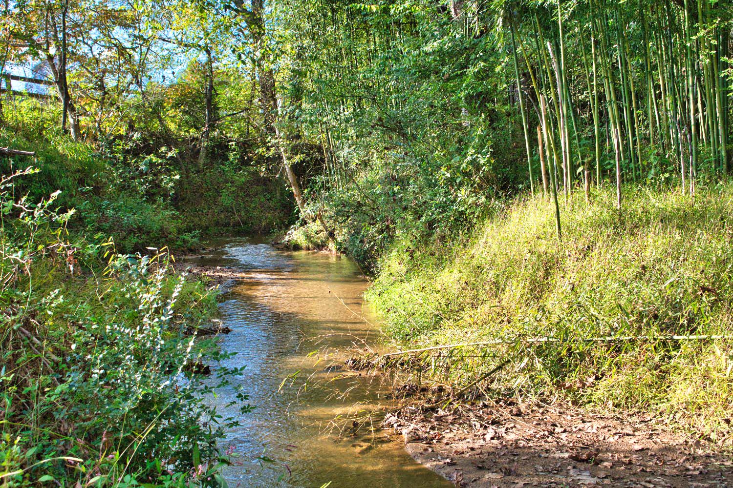 Tranquility at Lake Lure