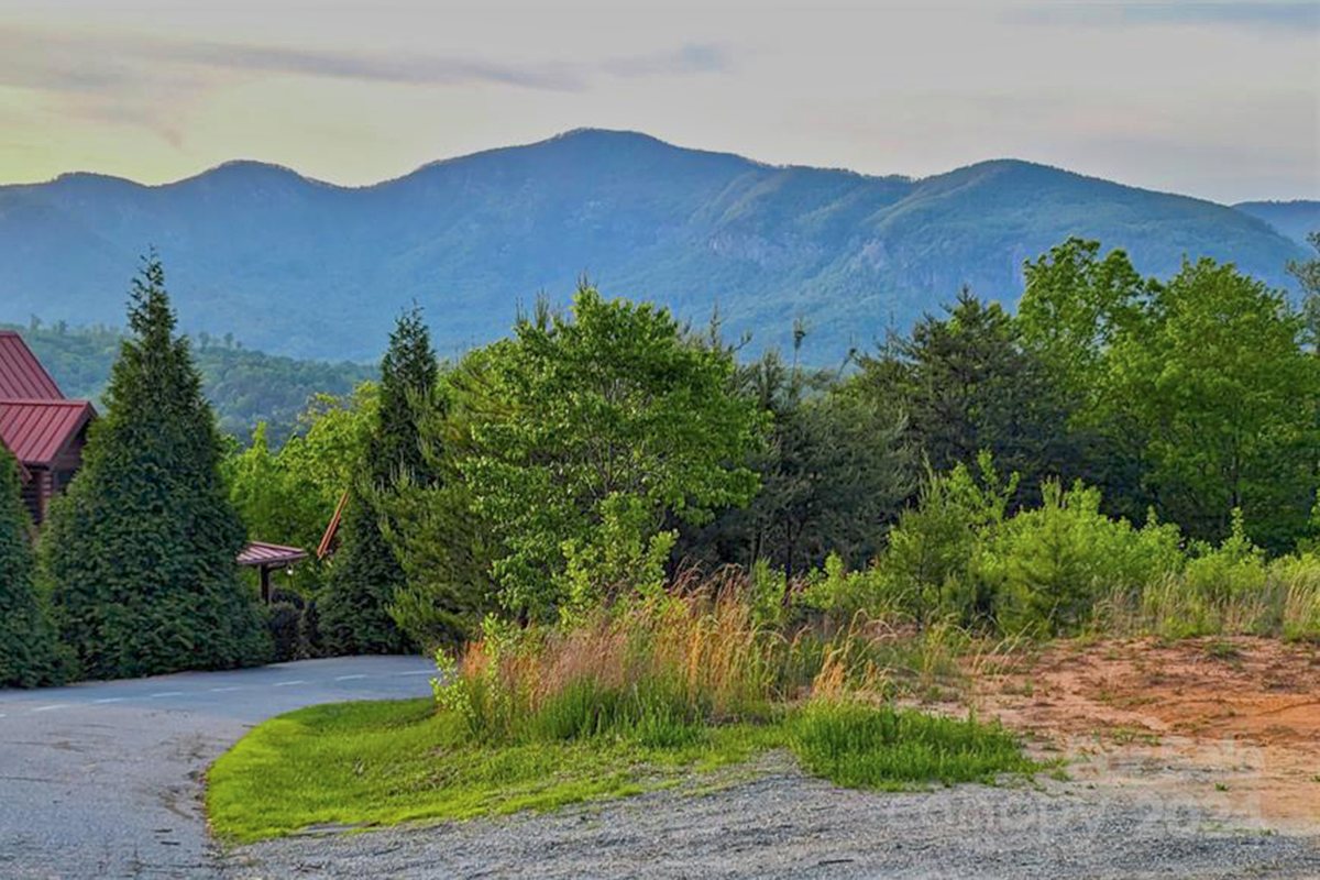 level, wooded land in The Peaks at Lake Lure