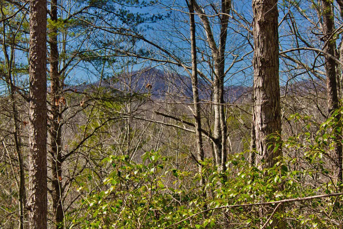 Mountain views from Lot 42 on Sweetbriar Rd S, Lake Lure, NC, mislabeled as 0 Silent Forest Way
