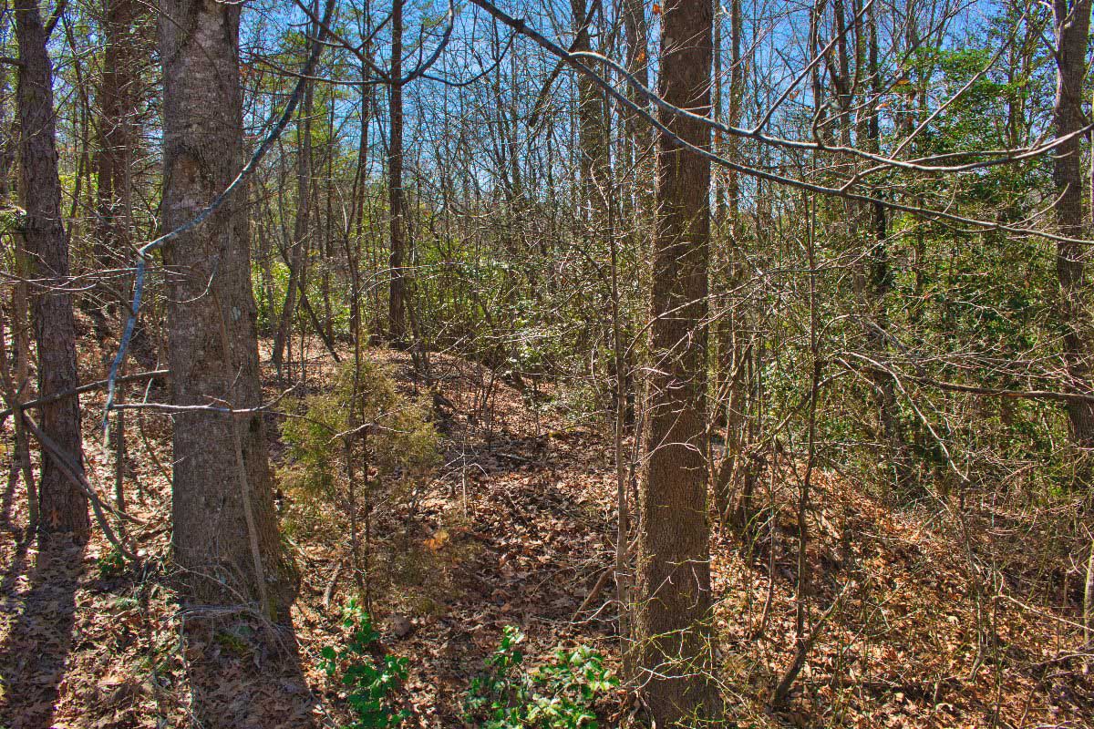 Sloped land and mountain views from Lot 42 on Sweetbriar Rd S, Lake Lure, NC, mislabeled as 0 Silent Forest Way