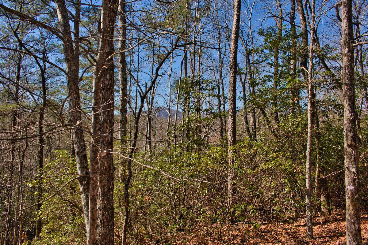 Mountain views from Lot 42 on Sweetbriar Rd S, Lake Lure, NC, mislabeled as 0 Silent Forest Way