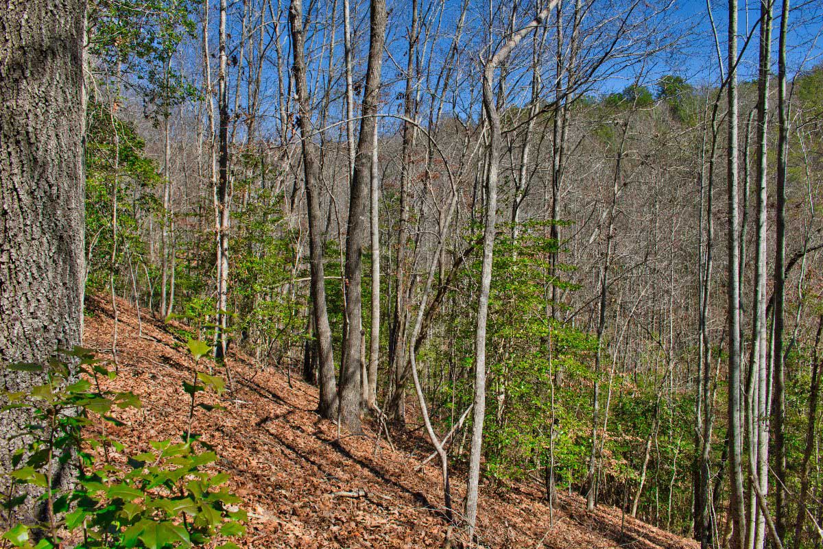 Lot 45 on Long Ridge Dr, Lake Lure, NC, mislabeled as 0 Silent Forest Way