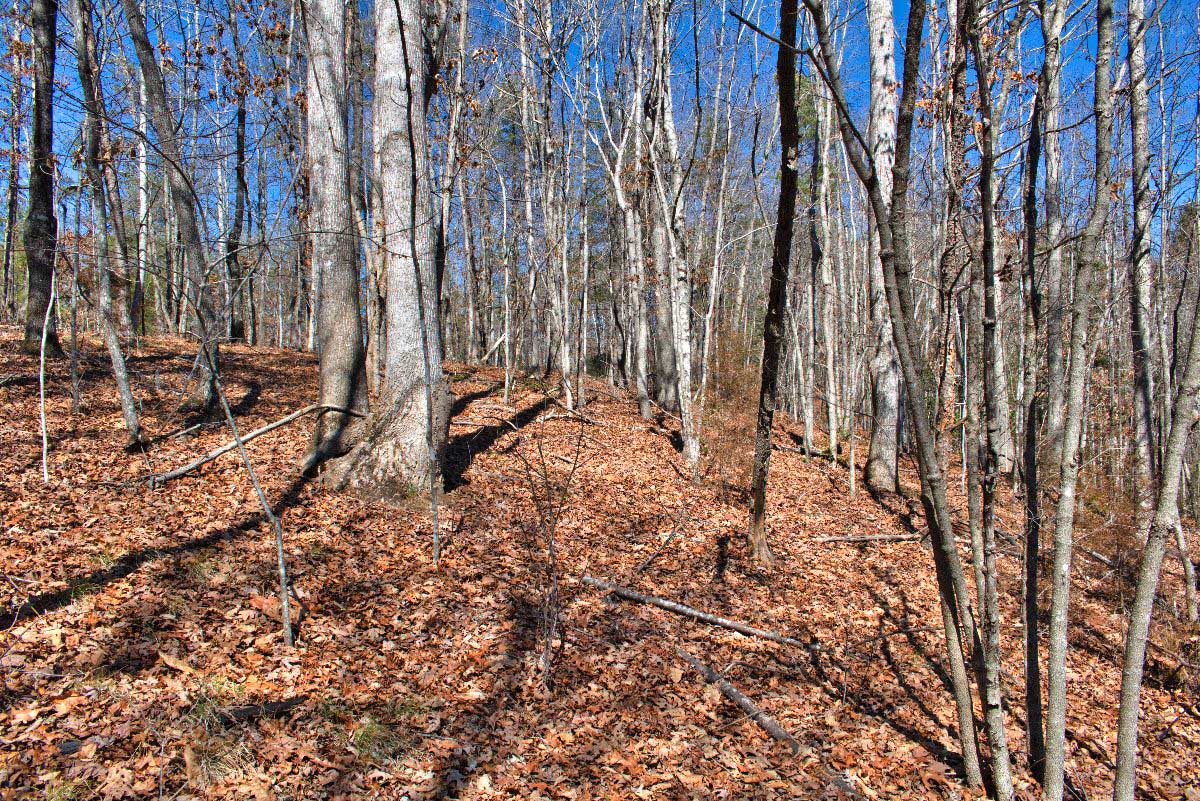 Lot 45 on Long Ridge Dr, Lake Lure, NC, mislabeled as 0 Silent Forest Way